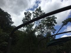 -热带雨林自然公园