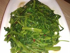 马来风光-港东盛宴烧腊至尊