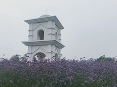 -紫颐香薰山谷景区