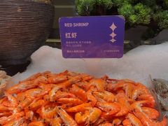 -星伦多自助料理·涮烤一体(江桥万达店)