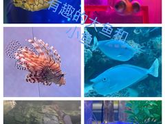 -北京海洋馆