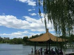 android_upload_pic-紫竹院公园冰场