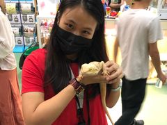 -藦茜花园宠物主题亲子互动体验馆(国顺东路店)