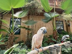 -南宫五洲植物乐园