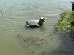 -昆山城市生态森林公园