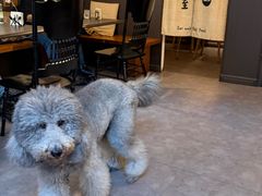 -沏点Trattoria意大利餐厅(新街口店)