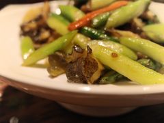 XO酱爆芦笋海螺片-老广酒楼(樱花店)