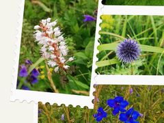 -白草畔自然风景区