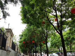 -唐城墙遗址公园