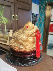 -贝勒爷专业男发