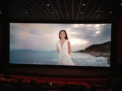 -万达影城(湛江万达广场IMAX店)