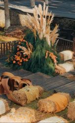 -蘭club婚礼策划