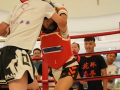 -花环泰拳·勒德斯拉泰拳馆(静安店)