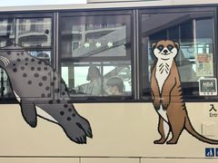 -黑潮市场