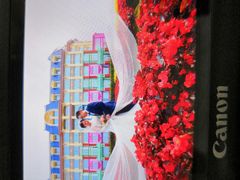 -百万葵园