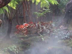 -Chom Cafe and Restaurant