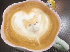 -逗柴咖啡屋·狗咖猫咖宠物桌游