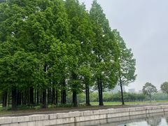 -尚贤河湿地