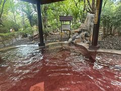 -金穗园温泉酒店