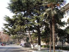 -陕西师范大学(雁塔校区)