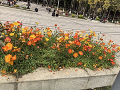 -温江公园