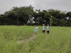 -长洲岛都市农业公园
