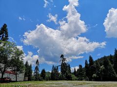 -武陵山森林公园