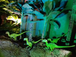 -恐龙探索乐园(磁器口店)