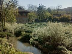 -中国茶叶博物馆(双峰馆区)