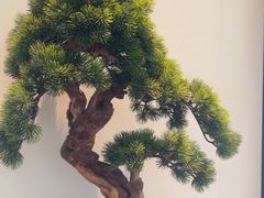 -炉忆家宴(红谷滩和昌里店)