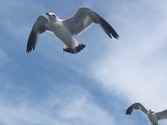 -日月昇渔家菜·海肠捞饭·大连海鲜(星海公园店)