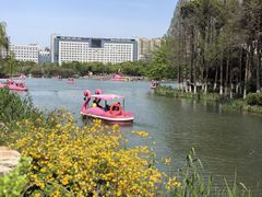 -青枫公园