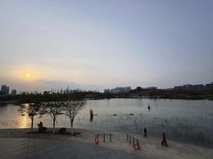 -桃花岛公园