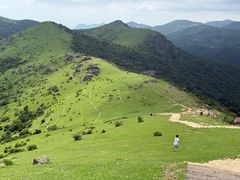 -大姆山草场