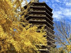 -玲珑塔公园