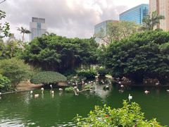 -九龙公园