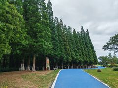 -宜兴龙背山森林公园