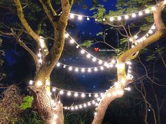 -那琴半岛地质海洋公园