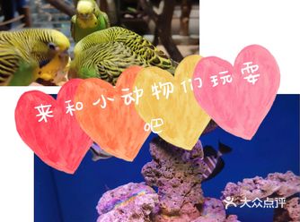 来这里简直太划算了，约上朋友更优惠！