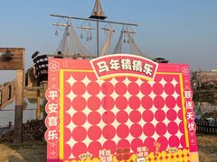 -荷兰花海