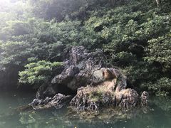 -广西龙虎山风景区