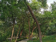 -元大都城垣遗址公园