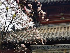 -长春观