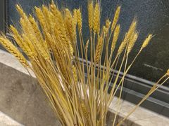 -比格比萨自助(万柳华联店)