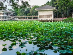 -荔湾湖公园
