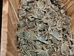 -初色海鲜自助(万丰路店)