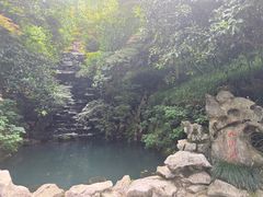 -十八棵（老龙井）御茶园(老龙井店)