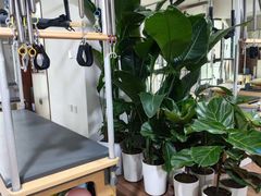 -美间·普拉提禅柔工作室