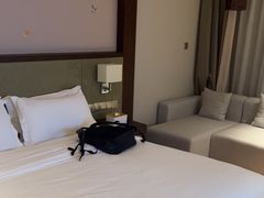 -深圳湾科技园丽雅查尔顿酒店