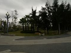 -宝安西湾红树林湿地公园